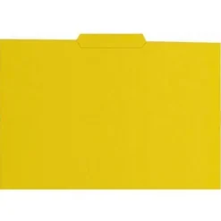 SUBCARPETA GIO Fº PEST.CENTR.AMARILLO