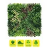 SUNGARDEN JARDIN VERTICAL SERIE JARDINOVA 100X100CM - COLOR VERDE