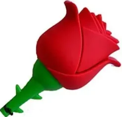 TECHONETECH ROSA ONE MEMORIA USB 2.0 32GB (PENDRIVE)